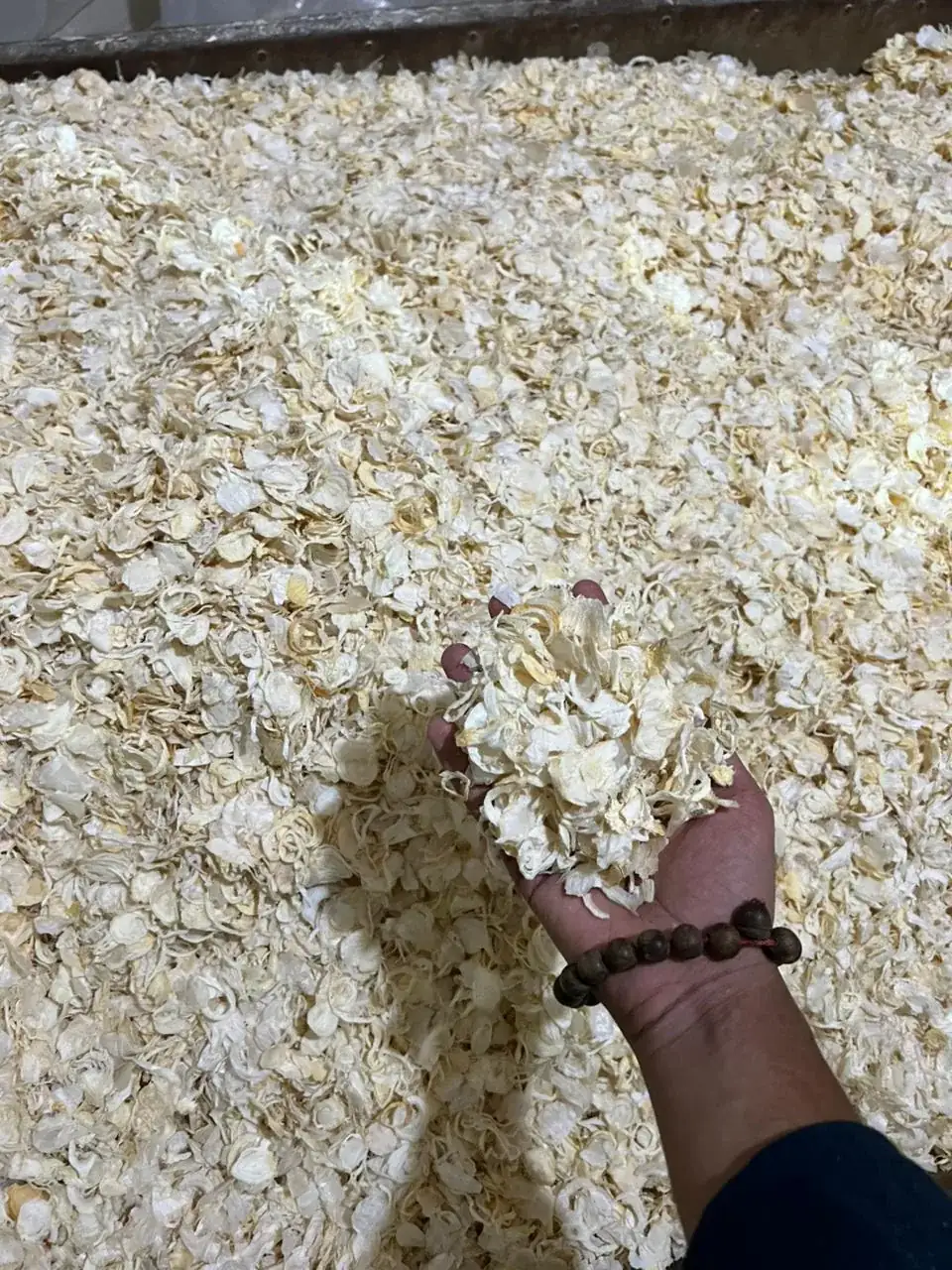 Spiclo Group spice facility — Surat Gujarat